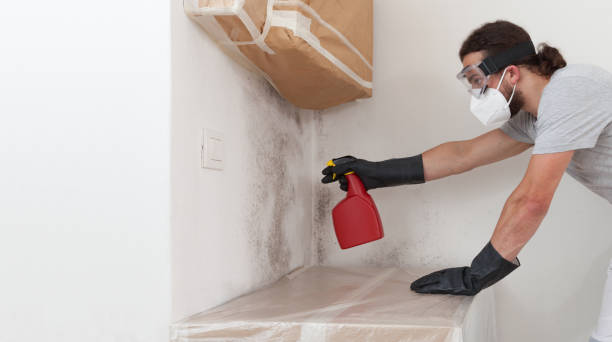 Professional Mold Remediation technician working in Woburn, MA