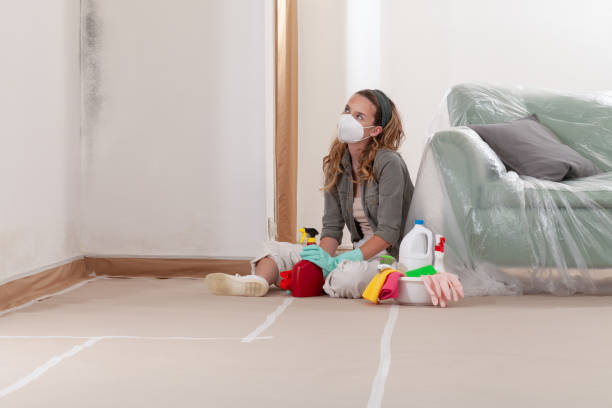 Reliable Mold Remediation contractor in Woburn, MA by Car Mold Remediation